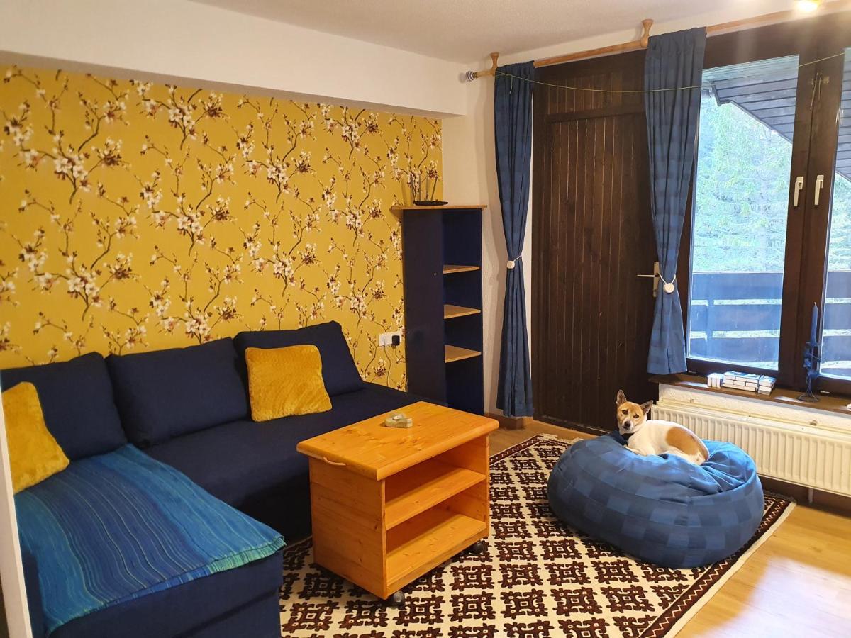 M & M Apartment Krvavec Церклье-на-Гореньскем Экстерьер фото